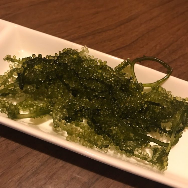 bee.e.oさんが投稿した昭和居酒屋 北山食堂（ショウワイザカヤ ホクザンショクドウ）に関する口コミの画像