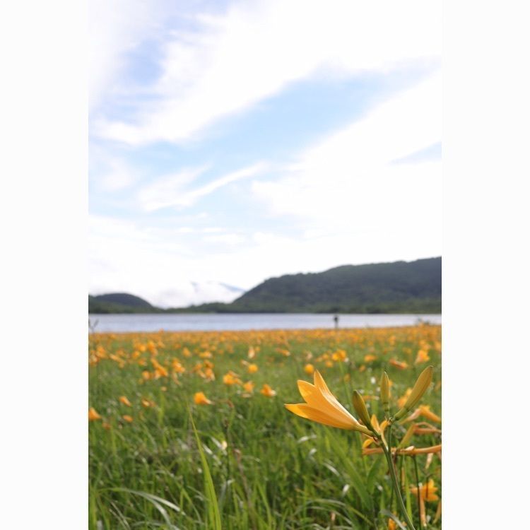 あっけさんが投稿した雄国沼に関する口コミの画像