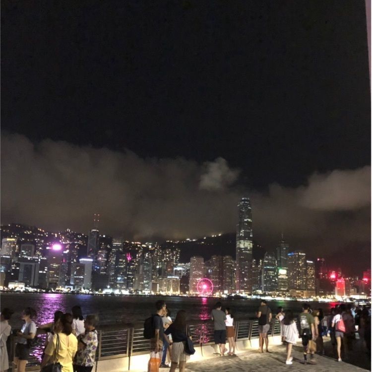 とりぽんさんが投稿したTsim Sha Tsui East Waterfront Podium Gardenに関する口コミの画像