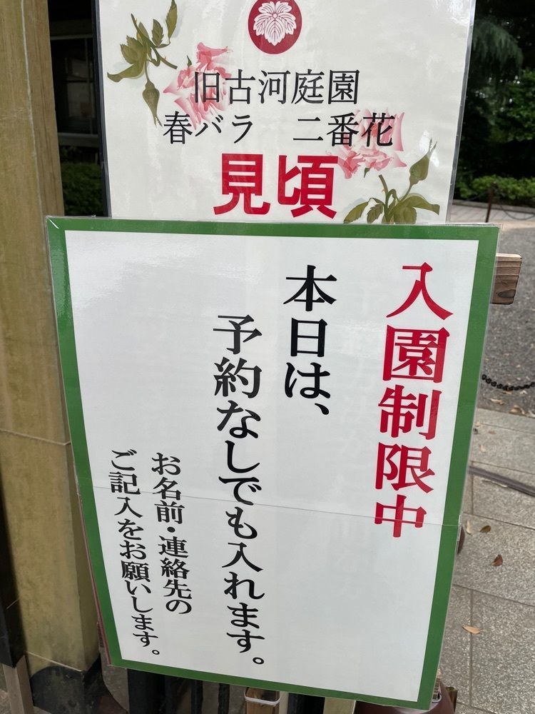 jamesの画像