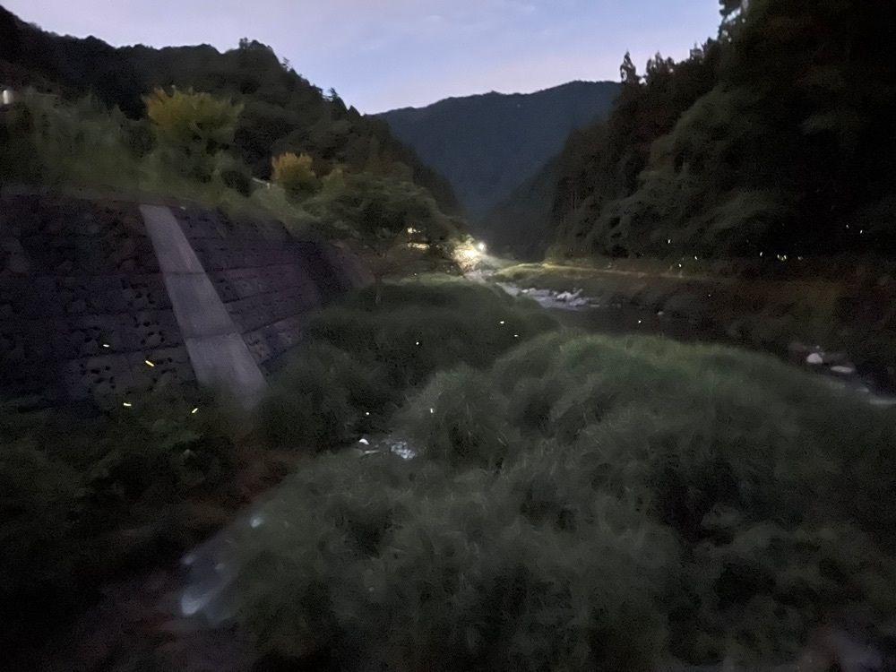 みーなさんが投稿した湯来ロッジ　レストランに関する口コミの画像