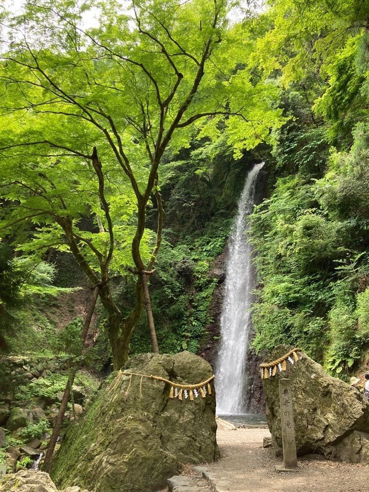 Natsuさんが投稿した養老神社（菊水天神）に関する口コミの画像