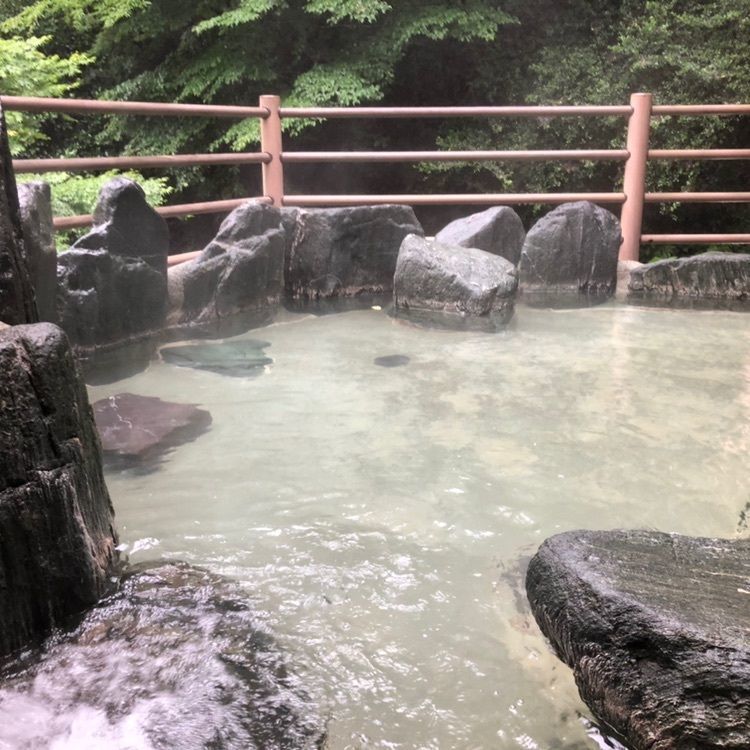 タッキーさんが投稿した紅椿の湯に関する口コミの画像