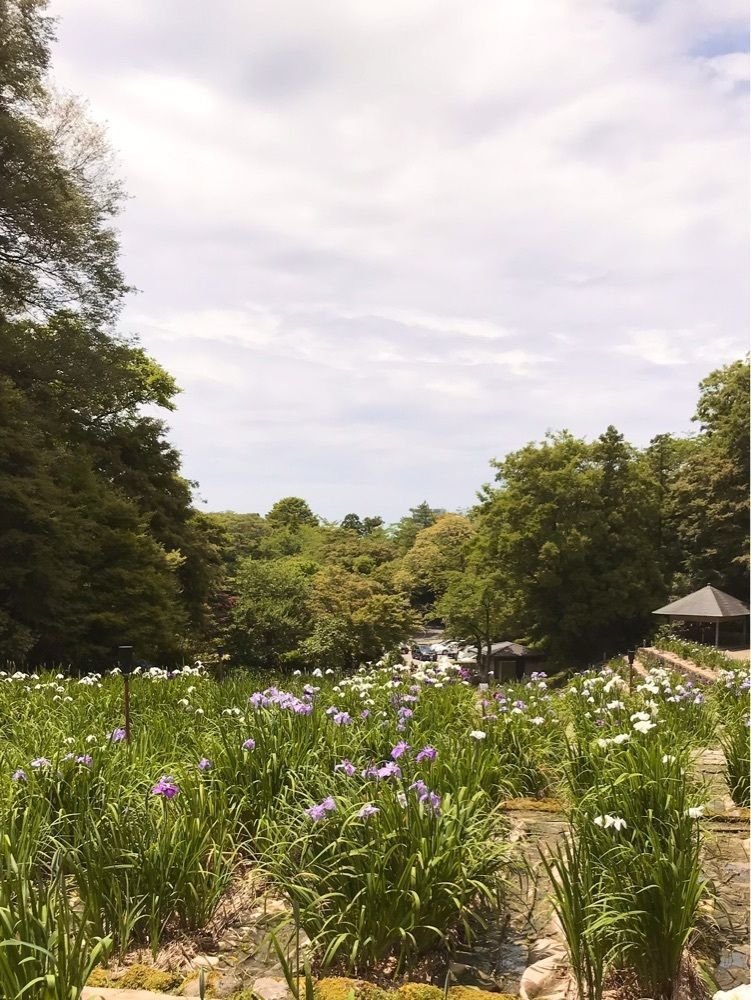 NBR OTさんが投稿した卯辰山公園に関する口コミの画像