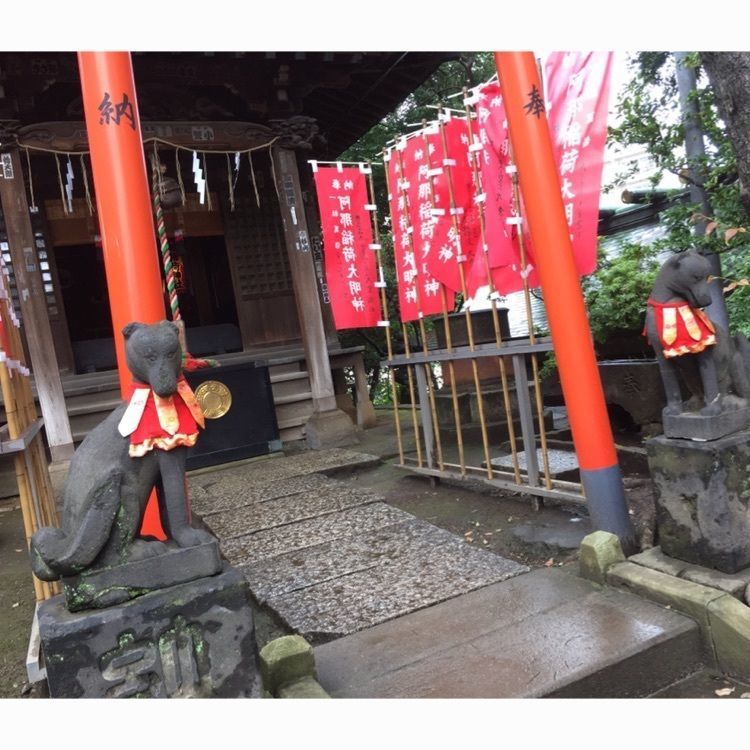 こまささんが投稿した画像の画像