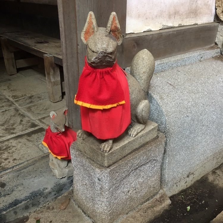こまささんが投稿した画像の画像