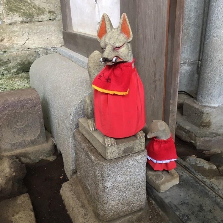 こまささんが投稿した画像の画像