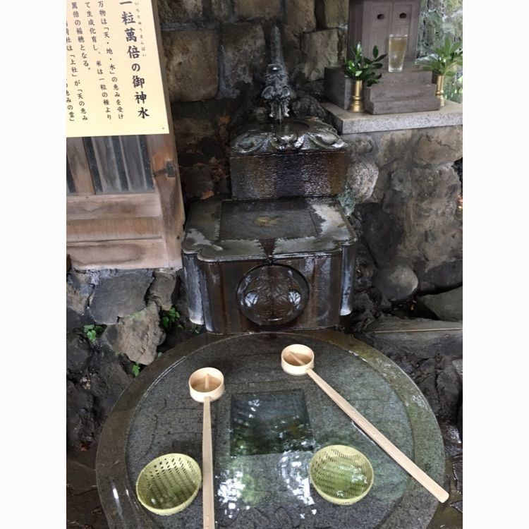 こまささんが投稿した画像の画像