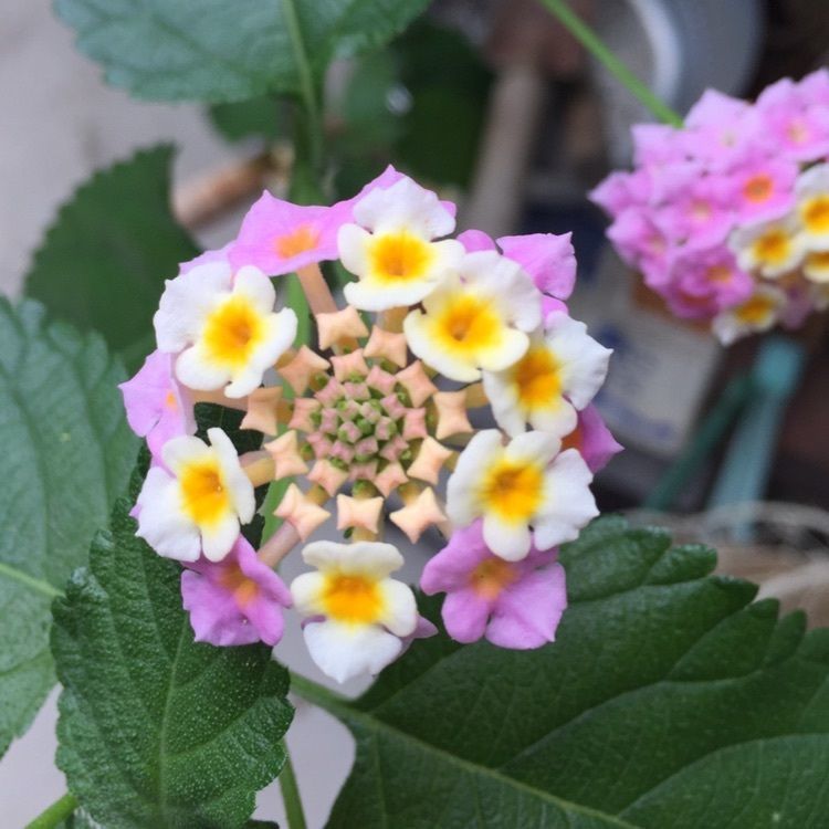 Annashuna0830さんが投稿した画像の画像