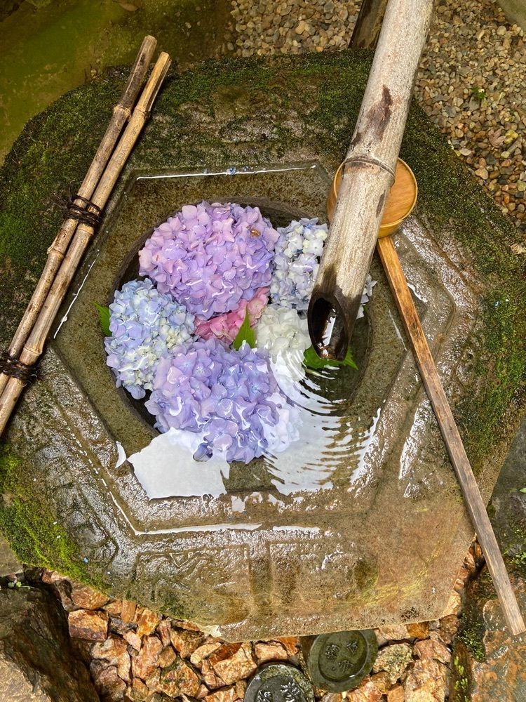 やすさんが投稿した柳谷観音楊谷寺に関する口コミの画像