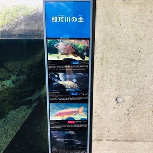 なかがわ水遊園