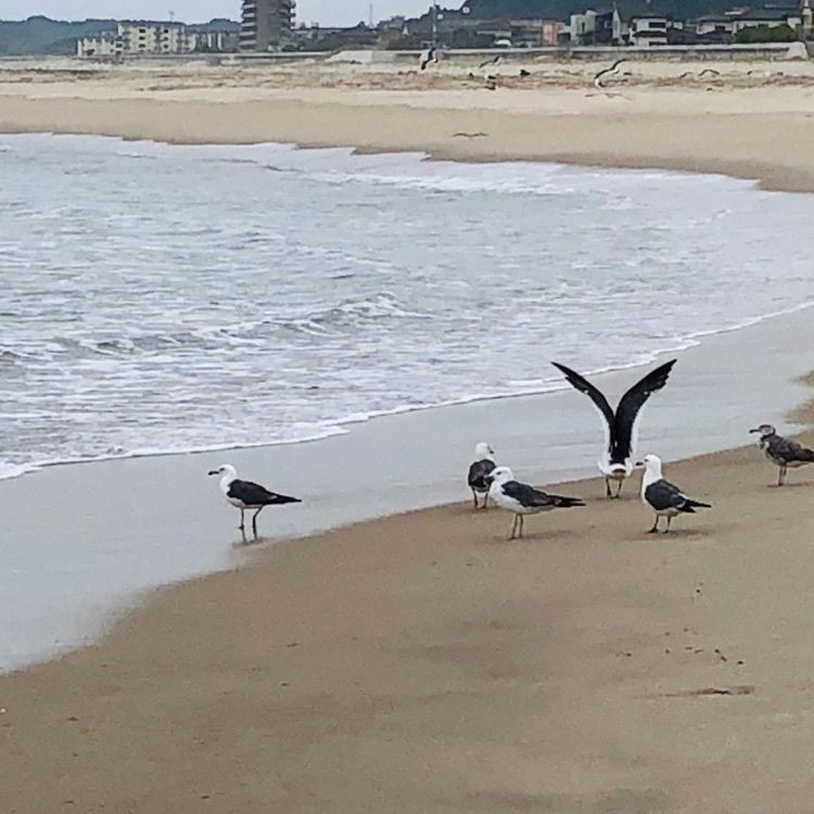 サトツルさんが投稿した高萩海水浴場に関する口コミの画像