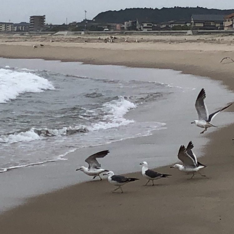 サトツルさんが投稿した高萩海水浴場に関する口コミの画像