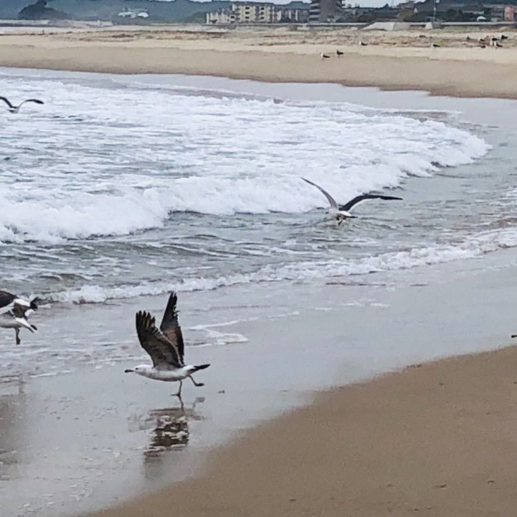 サトツルさんが投稿した高萩海水浴場に関する口コミの画像
