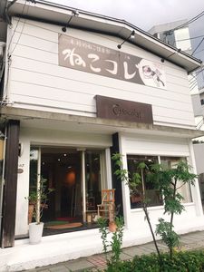 施設画像