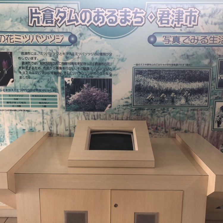 タッキーさんが投稿した道の駅ふれあいパーク・きみつきみつふるさと物産館に関する口コミの画像