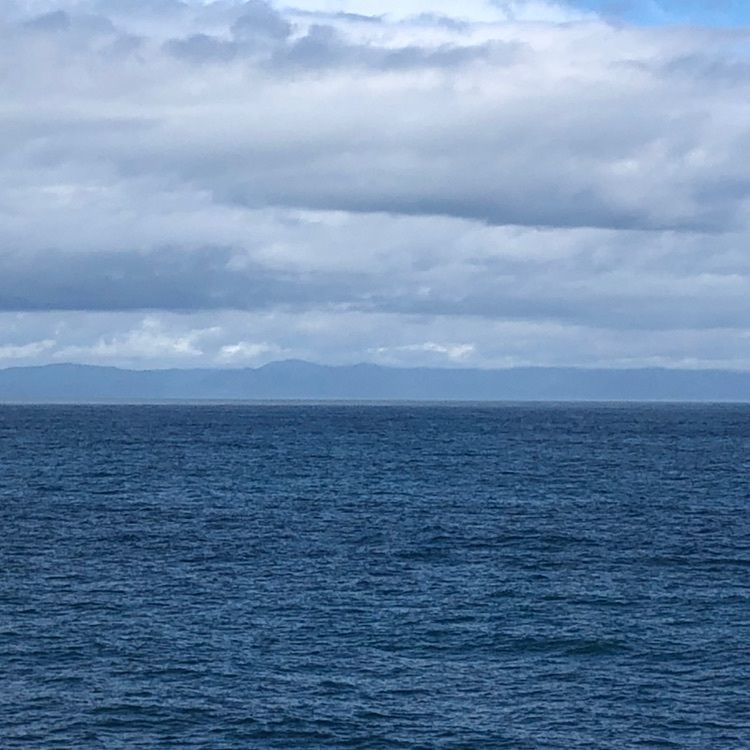 タッキーさんが投稿した泊海岸に関する口コミの画像
