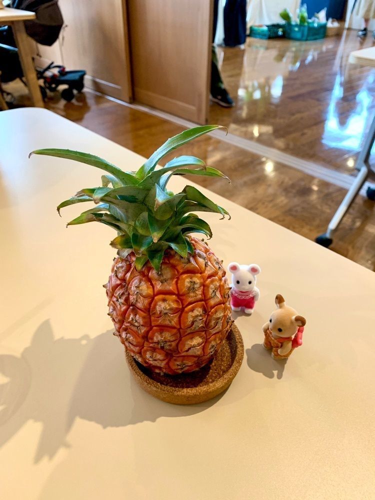 みどり😃さんが投稿したカフェ ハロゲン（cafe halogen）に関する口コミの画像