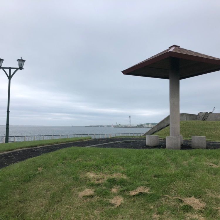 タッキーさんが投稿したキラキラ公園に関する口コミの画像
