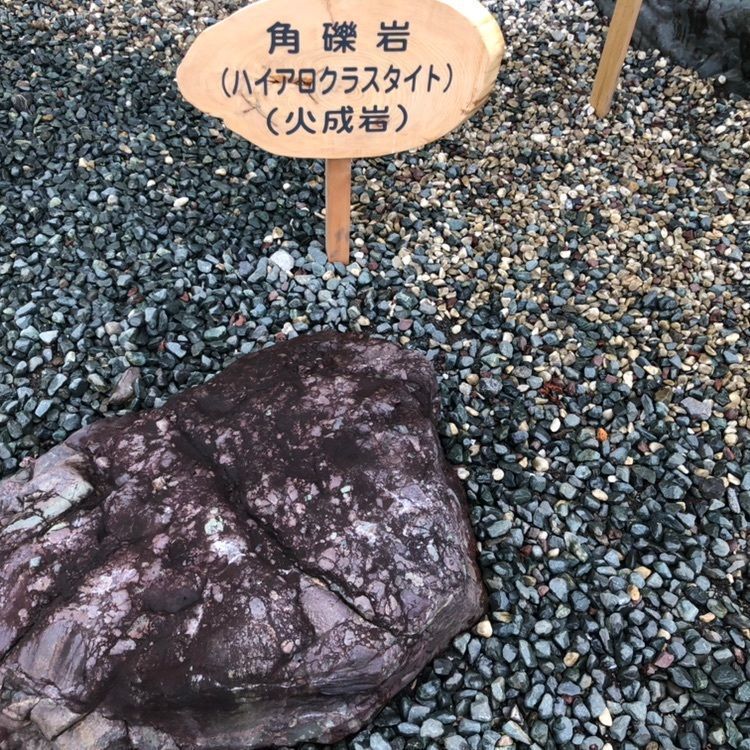 タッキーさんが投稿した日高山脈博物館に関する口コミの画像