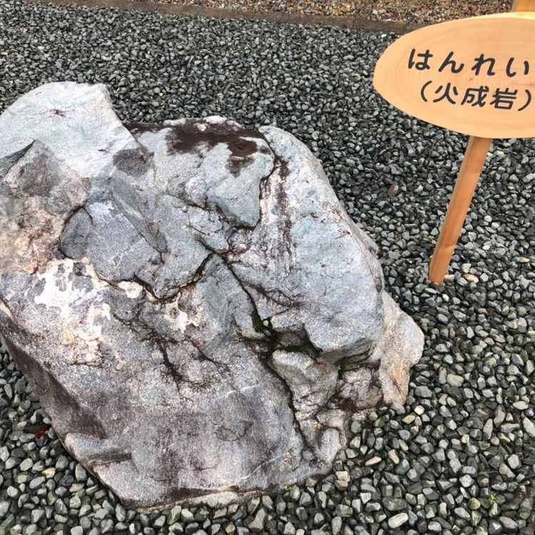 タッキーさんが投稿した日高山脈博物館に関する口コミの画像