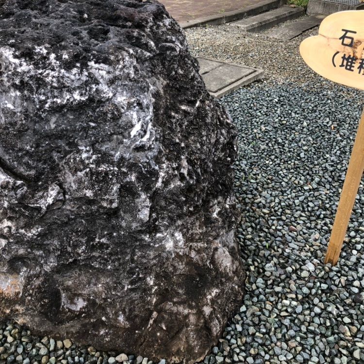 タッキーさんが投稿した日高山脈博物館に関する口コミの画像
