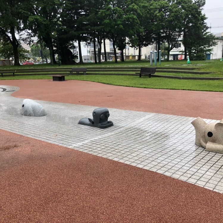 タッキーさんが投稿した中央公園に関する口コミの画像