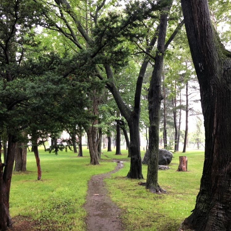 タッキーさんが投稿した中央公園に関する口コミの画像