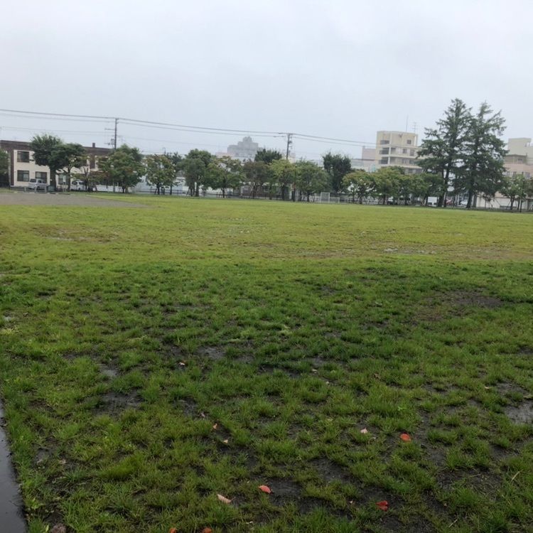 タッキーさんが投稿した中央公園に関する口コミの画像