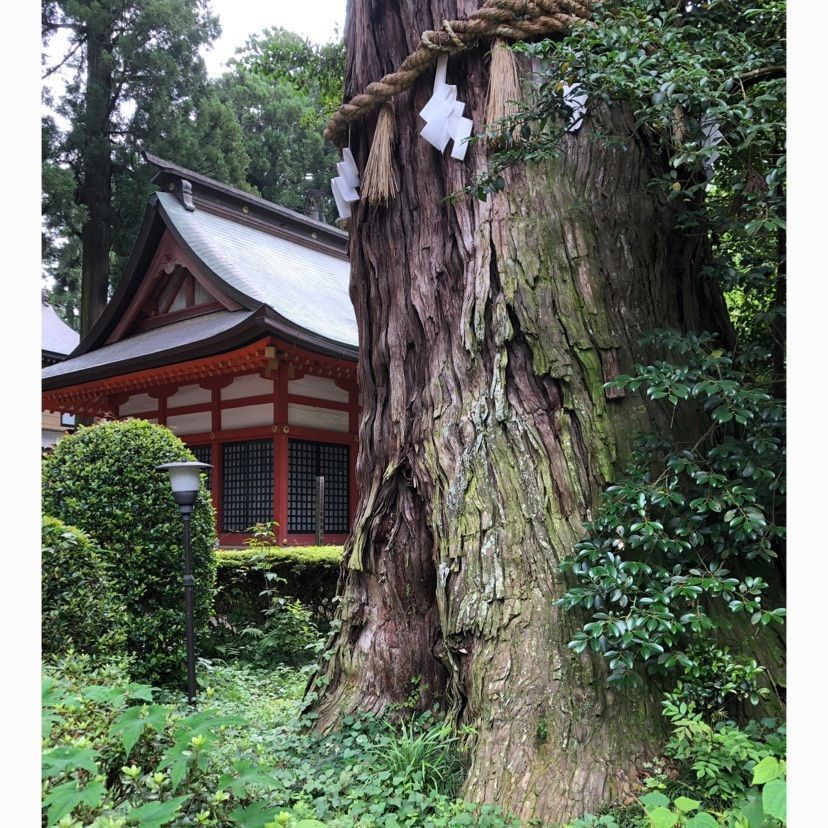 ビンカさんが投稿した香取神宮宝物館に関する口コミの画像