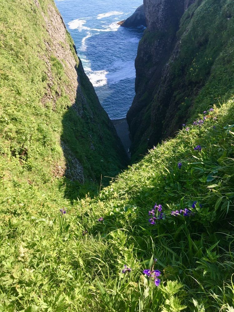 yoshiさんが投稿した厚岸海岸に関する口コミの画像
