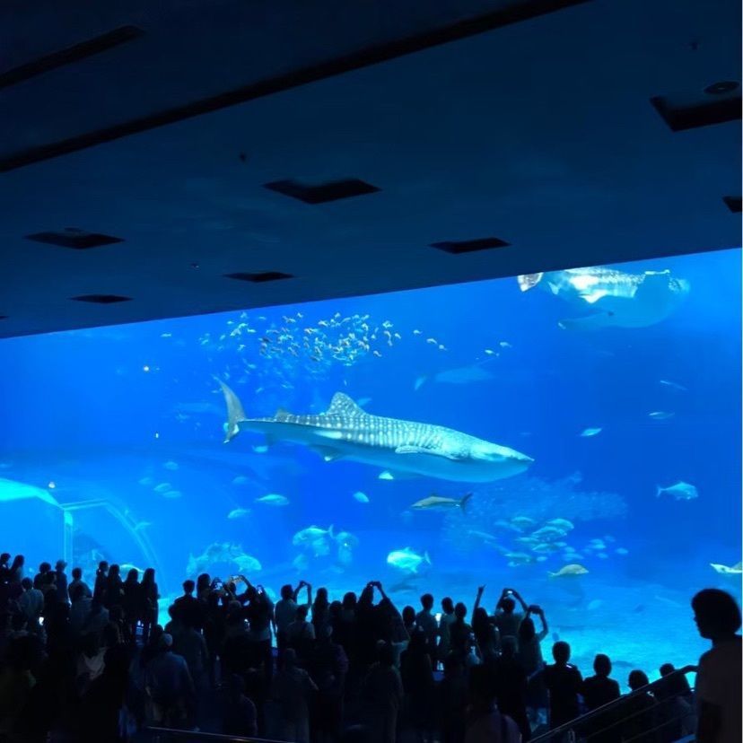 𓇼のんたん𓇼さんが投稿した美ら海Cafe （美ら海カフェ）に関する口コミの画像