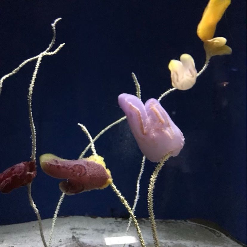 𓇼のんたん𓇼さんが投稿した美ら海Cafe （美ら海カフェ）に関する口コミの画像