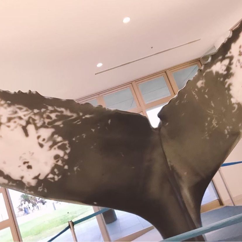 𓇼のんたん𓇼さんが投稿した美ら海Cafe （美ら海カフェ）に関する口コミの画像