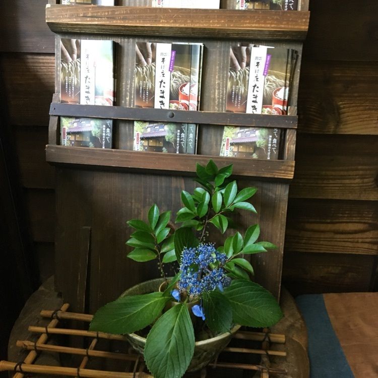 みーなさんが投稿した鶴華 波積屋（つるがはずみや）に関する口コミの画像