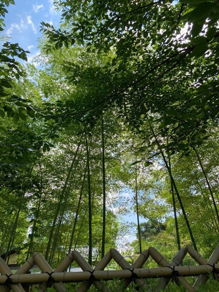 ply さんが投稿した豊国神社に関する口コミの画像