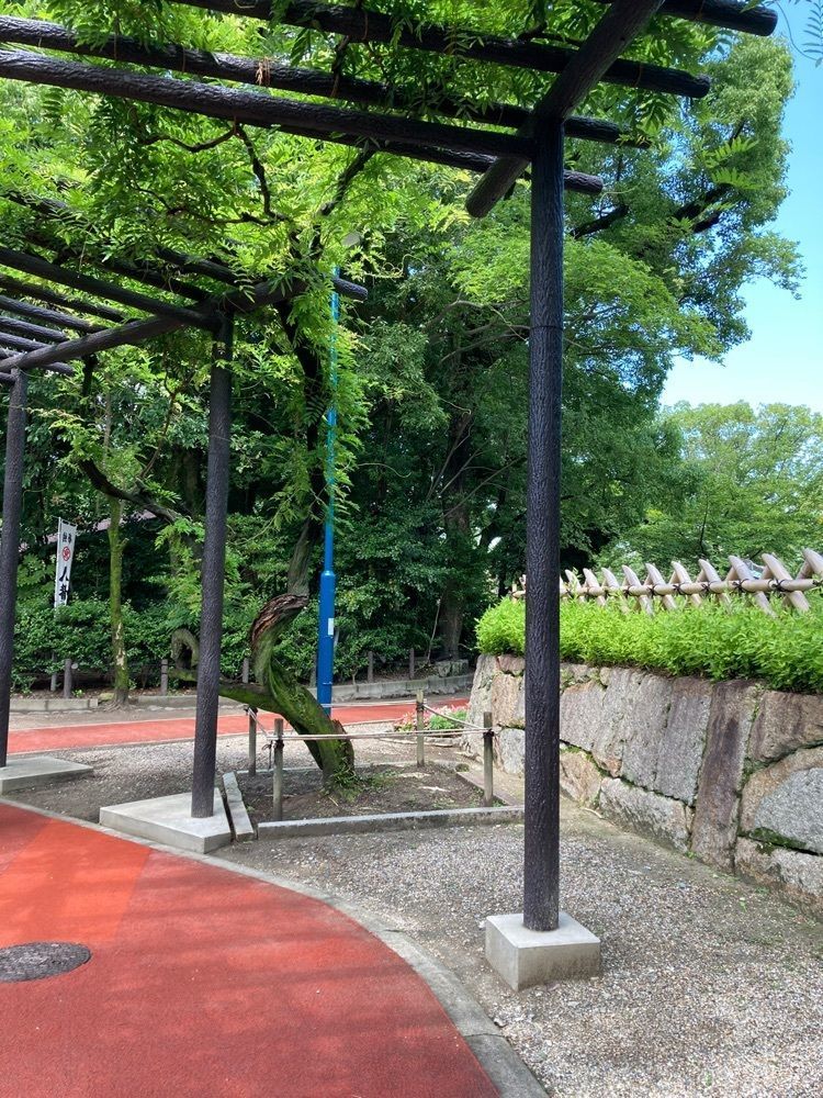 ply さんが投稿した豊国神社に関する口コミの画像