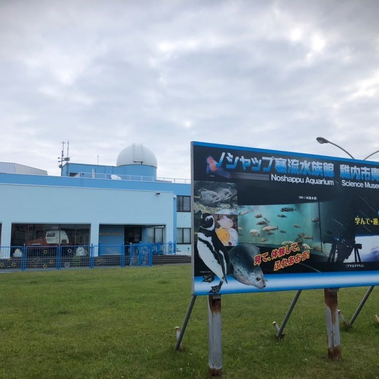 タッキーさんが投稿したノシャップ寒流水族館に関する口コミの画像