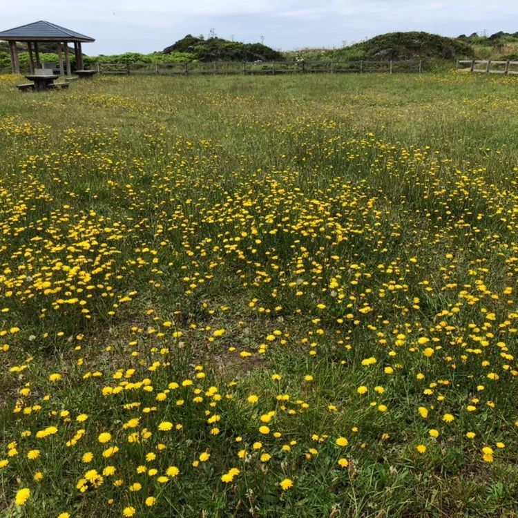 タッキーさんが投稿した沓形岬公園に関する口コミの画像