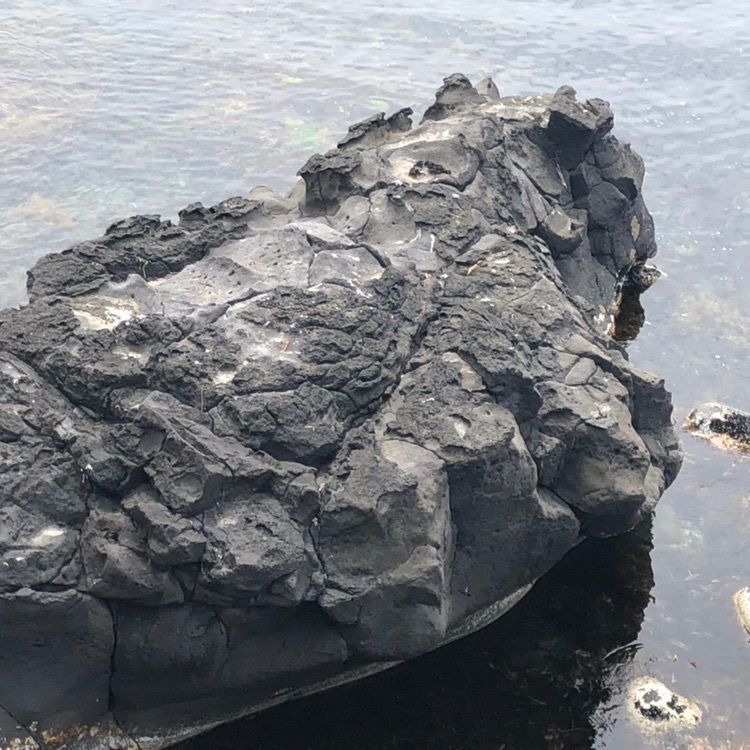 タッキーさんが投稿した寝熊の岩に関する口コミの画像