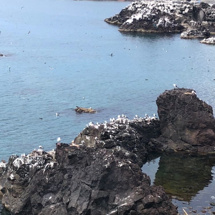 タッキーさんが投稿した仙法志御崎公園に関する口コミの画像