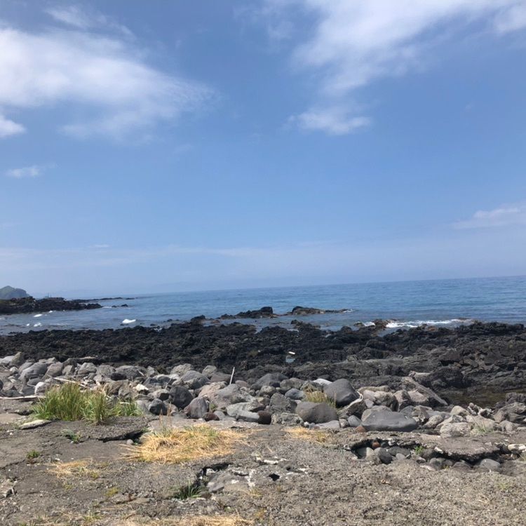 タッキーさんが投稿した野塚展望台に関する口コミの画像