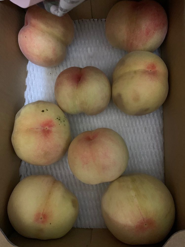 影の戦闘隊さんが投稿したフルーツパークびぜんに関する口コミの画像