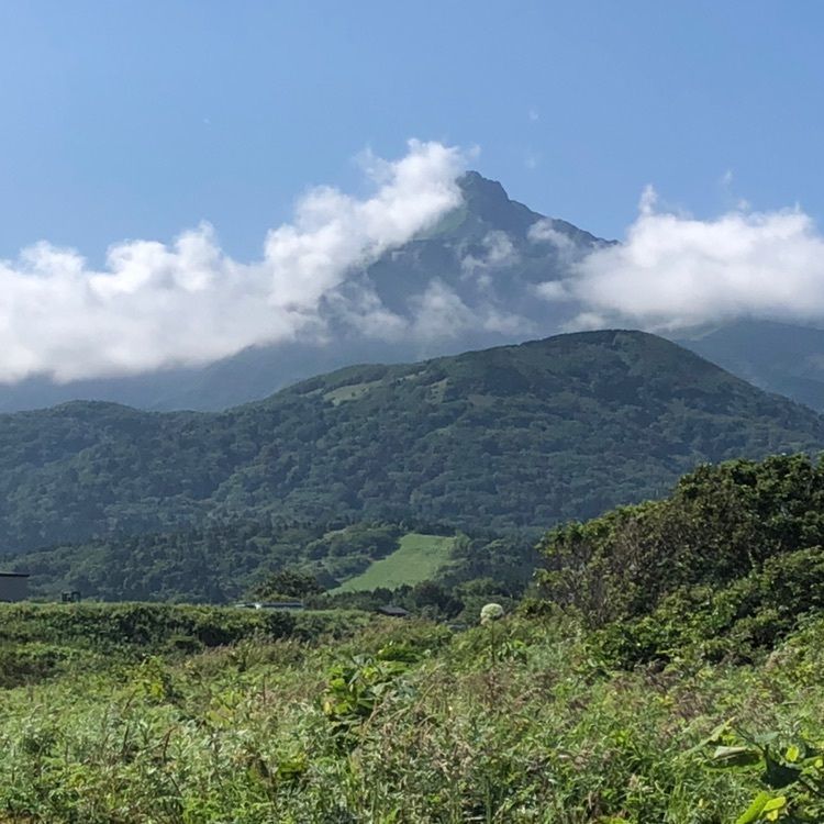 タッキーさんが投稿した利尻山（利尻富士）に関する口コミの画像