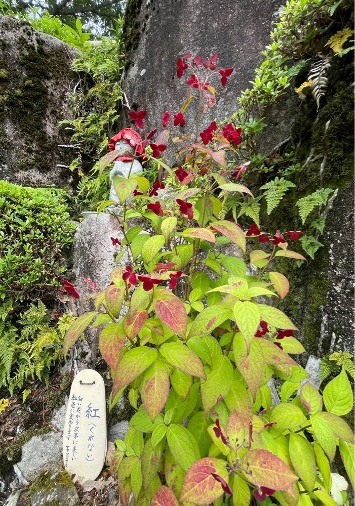 みーなさんが投稿した工房茶屋 ばさら窯に関する口コミの画像