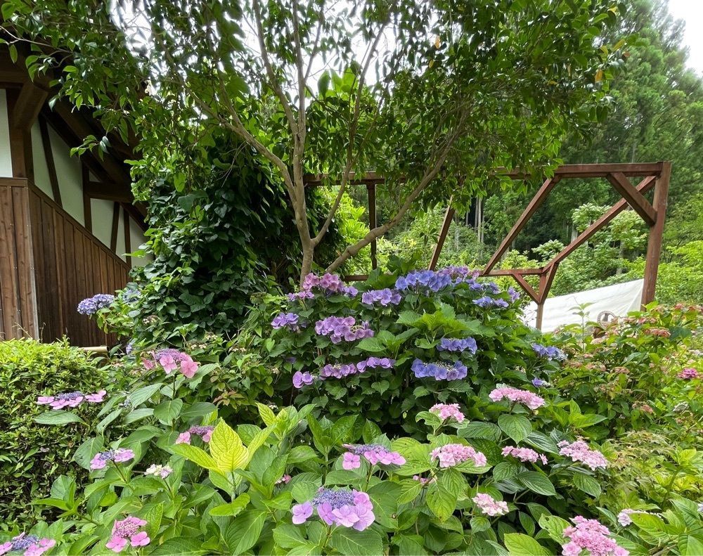 みーなさんが投稿した工房茶屋 ばさら窯に関する口コミの画像