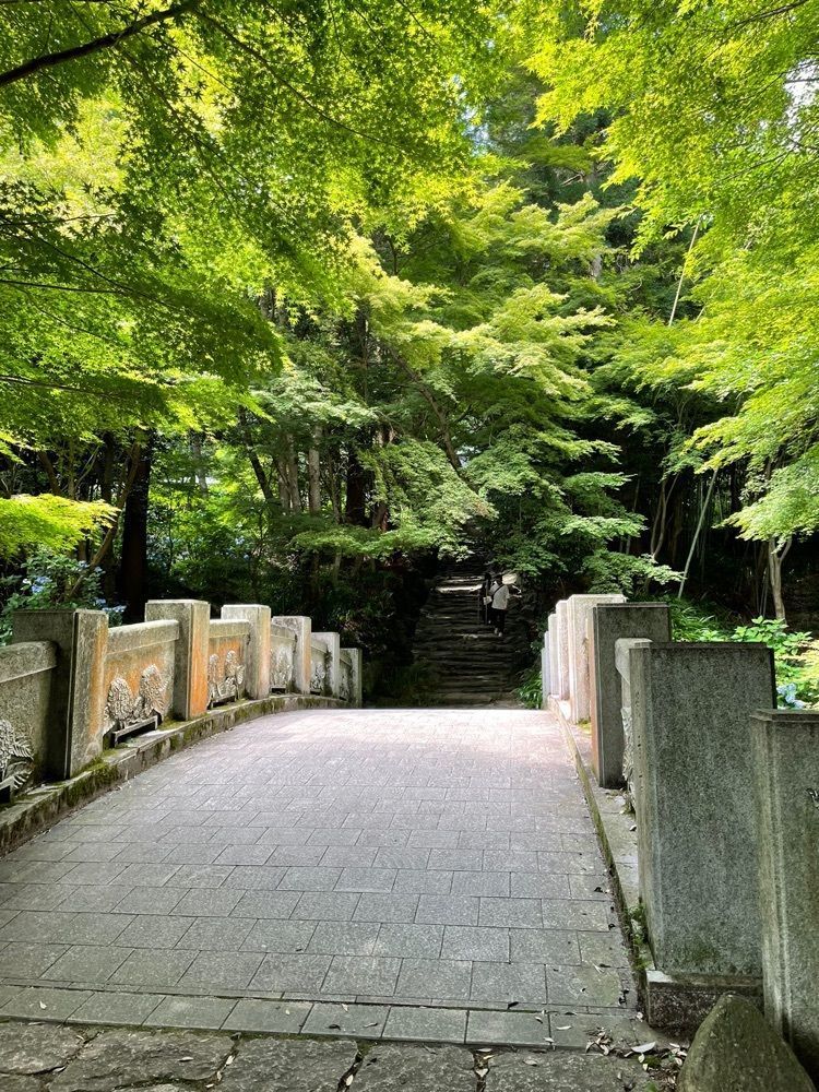 みーなさんが投稿した東大寺別院阿弥陀寺／あじさいに関する口コミの画像