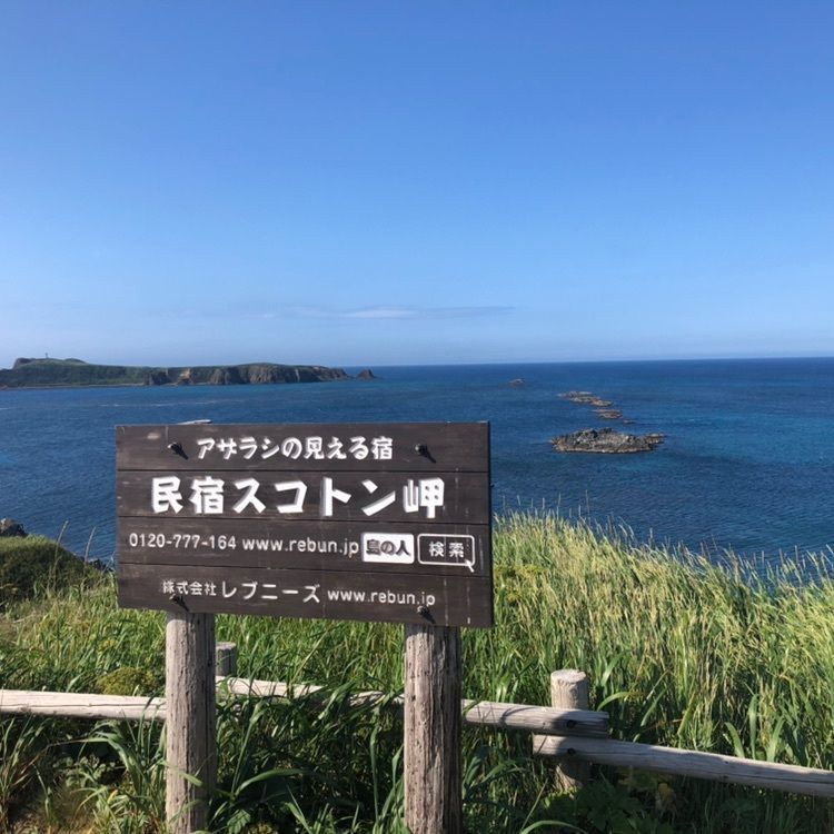 タッキーさんが投稿したアザラシの見える宿礼文島スコトン岬に関する口コミの画像