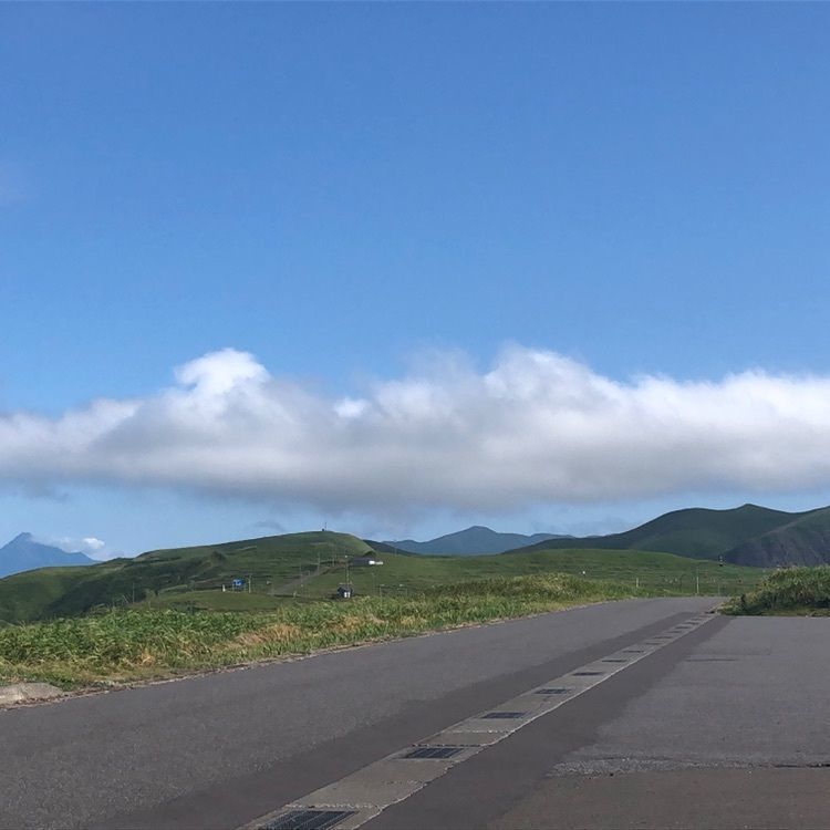 タッキーさんが投稿したアザラシの見える宿礼文島スコトン岬に関する口コミの画像