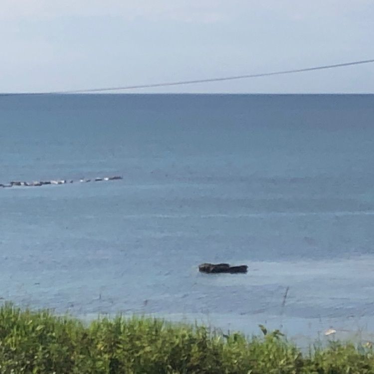 タッキーさんが投稿した銭屋五兵衛貿易の地に関する口コミの画像